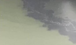 清河爆料最新,揭秘最新热点事件背后的真相